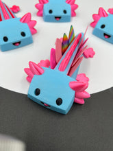 Load image into Gallery viewer, Axolotl Guitar Pick Holder