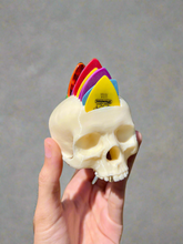 Load image into Gallery viewer, Realistic Bone White and Gold Tooth Mohawk Skull Guitar Pick Holder
