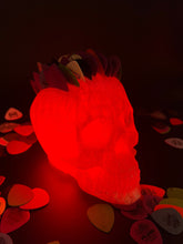 Load image into Gallery viewer, Giant LED Skull Pick Holder - Clear
